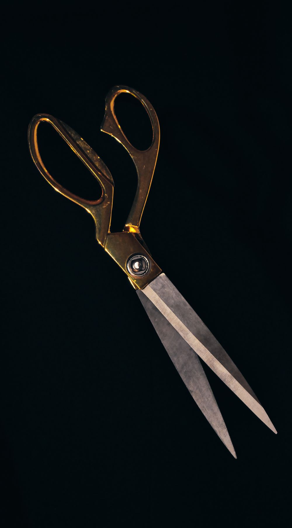 tailor shears